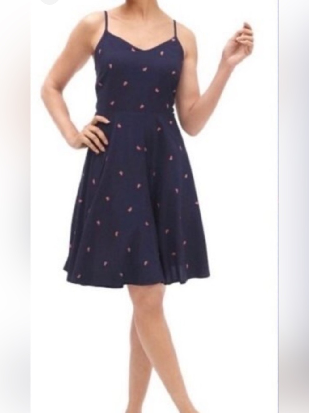 NWT GAP Navy Fit and Flare Cami Dress with Watermelon Print